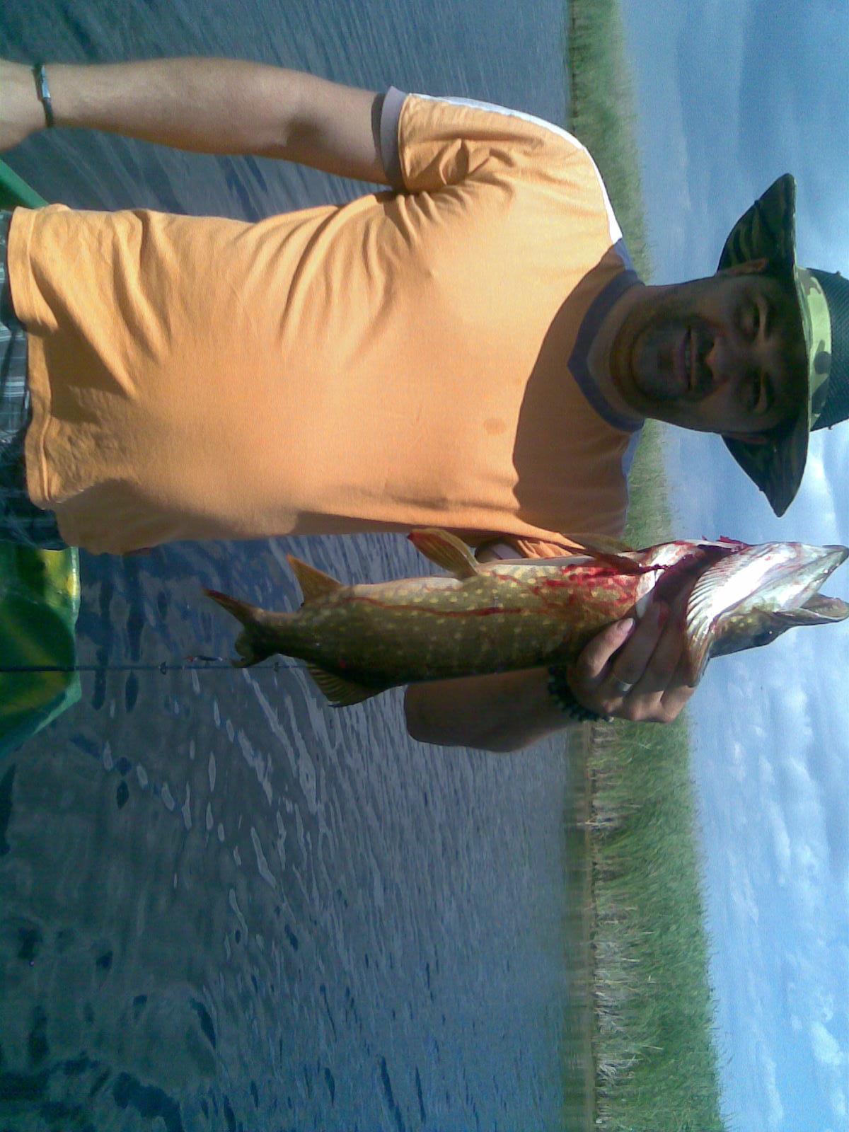 peste - picture-102.jpg